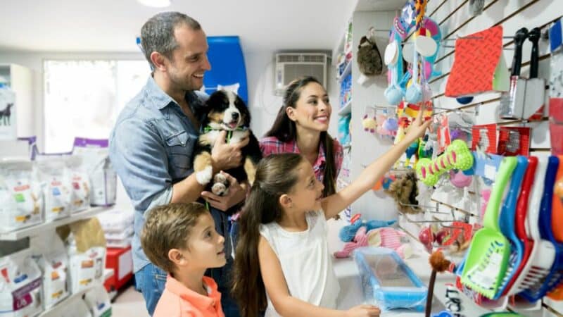 חנות חיות – גן עדן לאוהבי חיות מחמד